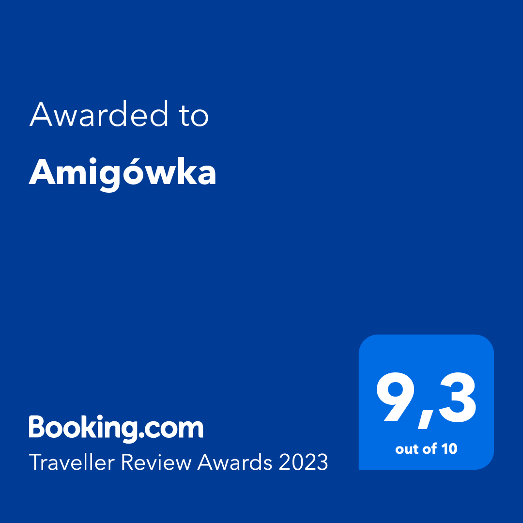 Amigowka Digital Award Booking 023